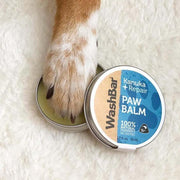 A picture of a dog's paw in the container of kanuka repair paw balm made by WashBar
