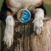 A picture of dog paws by a container of Kanuka Repair Paw Balm made by WashBar