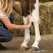 A picture of a horse's legs being cleaned by a Horse and Hound bar soap made by WashBar