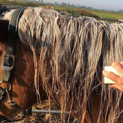 A picture of a horse mane being cleaned by a Horse and Hound bar soap made by WashBar
